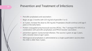 Prevention and Treatment of Infections
 Penicillin prophylaxis and vaccination :
 Begin at age 2 months with 125 mg bid of penicillin V or G
 at 3 years, increase the dose to 250 mg bid. Prophylaxis should continue until age 5
years or the early teens.
 Protein-conjugated pneumococcal vaccines (PCVs) , The 7-serotype PCV (PCV7) in
combination with penicillin prophylaxis and PPV23 booster vaccination .
 prevention against S pneumoniae infection. The vaccine is given at age 2 years,
with a booster dose at age 5 years.
 Meningococcal prophylaxis is administered as a single quadrivalent vaccine when
the child is older than 2 years.
30
 