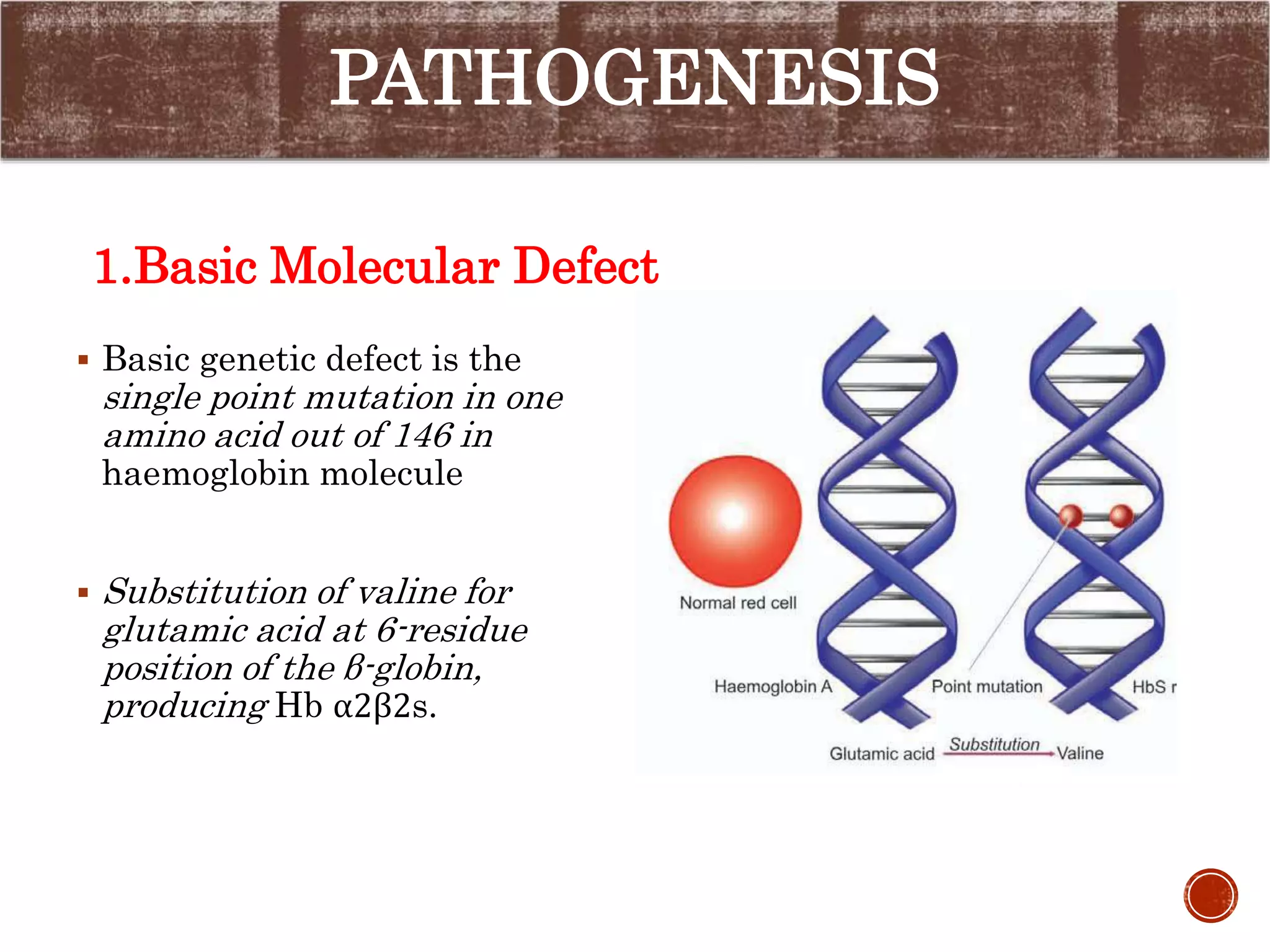 Sickle cell anemia and thalassemia | PPTX