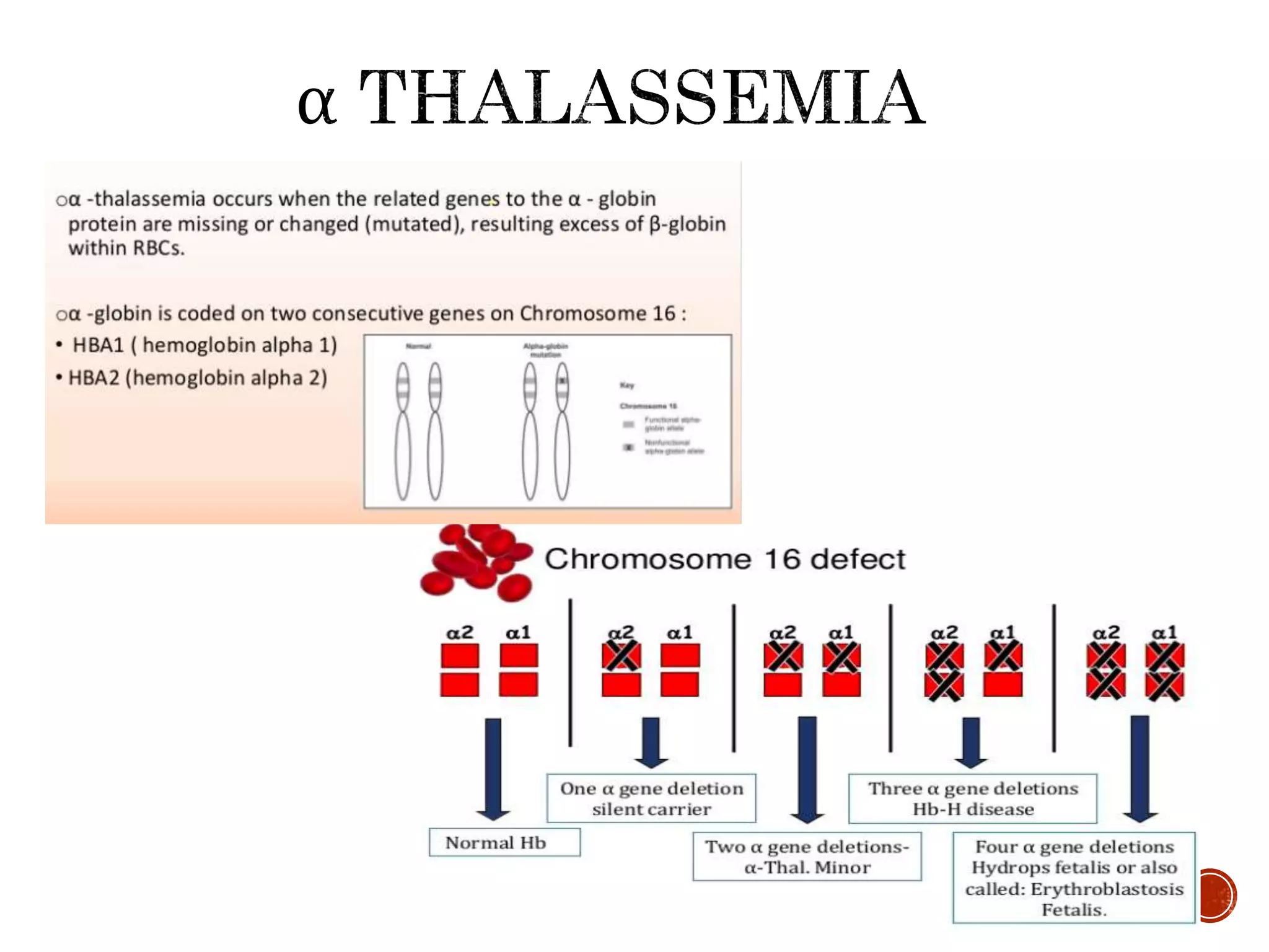 Sickle cell anemia and thalassemia | PPTX