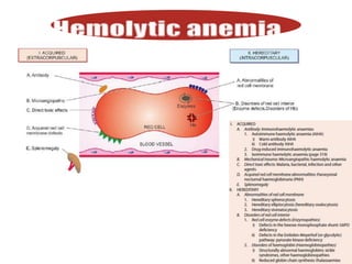 Sickle cell anemia and thalassemia | PPTX