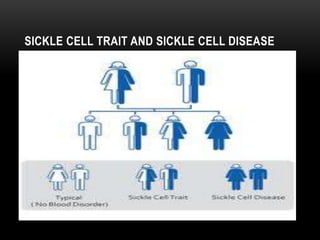 SICKLE CELL TRAIT AND SICKLE CELL DISEASE
 