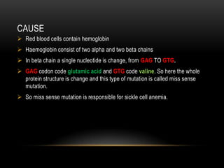 CAUSE
 Red blood cells contain hemoglobin
 Haemoglobin consist of two alpha and two beta chains
 In beta chain a single nucleotide is change, from GAG TO GTG.
 GAG codon code glutamic acid and GTG code valine. So here the whole
protein structure is change and this type of mutation is called miss sense
mutation.
 So miss sense mutation is responsible for sickle cell anemia.
 