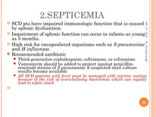 2.SEPTICEMIA
 SCD pts have impaired immunologic function that is caused
by splenic dysfunction.
 Impairment of splenic function can occur in infants as young
as 3 months.
 High risk for encapsulated organisms such as S pneumoniae
and H influenzae.
 Recommended antibiotic
 Third-generation cephalosporin; ceftriaxone, or cefotaxime
 Vancomycin should be added to protect against penicillin-
resistant strains of S pneumoniae if suspected until culture
results become available
 All SCD patients with fever must be managed with extreme caution
because of the risk of overwhelming bacteremia which can rapidly
lead to septic shock

feb,17,2015
35
Dr.ArmaanSingh
 