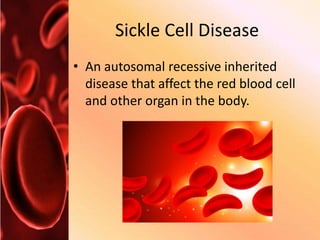 Sickle Cell Disease
• An autosomal recessive inherited
disease that affect the red blood cell
and other organ in the body.
 