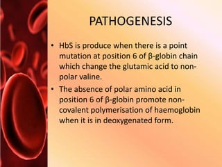 PATHOGENESIS
• HbS is produce when there is a point
mutation at position 6 of β-globin chain
which change the glutamic acid to non-
polar valine.
• The absence of polar amino acid in
position 6 of β-globin promote non-
covalent polymerisation of haemoglobin
when it is in deoxygenated form.
 