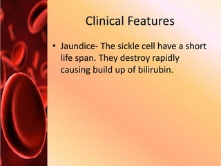 Clinical Features
• Jaundice- The sickle cell have a short
life span. They destroy rapidly
causing build up of bilirubin.
 
