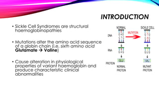 INTRODUCTION
• Sickle Cell Syndromes are structural
haemoglobinopathies
• Mutations alter the amino acid sequence
of a globin chain (i.e. sixth amino acid
Glutamate  Valine)
• Cause alteration in physiological
properties of variant haemoglobin and
produce characteristic clinical
abnormalities
 