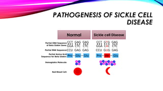 PATHOGENESIS OF SICKLE CELL
DISEASE
Normal Sickle cell Disease
 