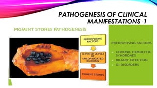 PATHOGENESIS OF CLINICAL
MANIFESTATIONS-1
 