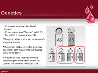 •It’s autosomal reccessive blood
disease.
•It’s not contagious “You can’t catch it”.
•You inherit it from your parents.
*The gene defect is a known mutation of a
single nucleotide.
*The person who receives only one
defective gene from either one of his
parents will develop Sickle-cell trait.
*The person that receives the defective
gene from both his parents will develop
Sickle-cell disease.
Genetics
 