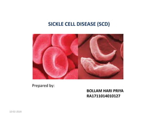 SICKLE CELL DISEASE (SCD)
Prepared by:
BOLLAM HARI PRIYA
RA1711014010127
10-02-2020
 