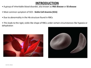 INTRODUCTION
• A group of inheritable blood disorder, also known as HbS disease or SS disease
• Most common symptom of SCD - Sickle Cell Anemia (SCA)
• Due to abnormality in the Hb structure found in RBCs
• This leads to the rigid, sickle-like shape of RBCs under certain circumstances like hypoxia or
dehydration
10-02-2020
 