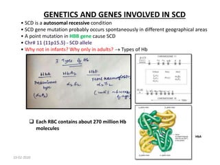 HbA
GENETICS AND GENES INVOLVED IN SCD
• SCD is a autosomal recessive condition
• SCD gene mutation probably occurs spontaneously in different geographical areas
• A point mutation in HBB gene cause SCD
• Chr# 11 (11p15.5) - SCD allele
• Why not in infants? Why only in adults?  Types of Hb
 Each RBC contains about 270 million Hb
molecules
10-02-2020
 
