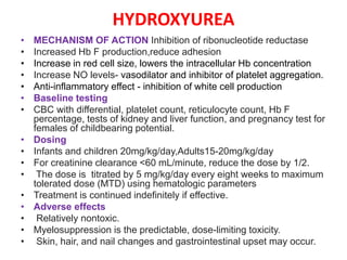HYDROXYUREA
• MECHANISM OF ACTION Inhibition of ribonucleotide reductase
• Increased Hb F production,reduce adhesion
• Increase in red cell size, lowers the intracellular Hb concentration
• Increase NO levels- vasodilator and inhibitor of platelet aggregation.
• Anti-inflammatory effect - inhibition of white cell production
• Baseline testing
• CBC with differential, platelet count, reticulocyte count, Hb F
percentage, tests of kidney and liver function, and pregnancy test for
females of childbearing potential.
• Dosing
• Infants and children 20mg/kg/day,Adults15-20mg/kg/day
• For creatinine clearance <60 mL/minute, reduce the dose by 1/2.
• The dose is titrated by 5 mg/kg/day every eight weeks to maximum
tolerated dose (MTD) using hematologic parameters
• Treatment is continued indefinitely if effective.
• Adverse effects
• Relatively nontoxic.
• Myelosuppression is the predictable, dose-limiting toxicity.
• Skin, hair, and nail changes and gastrointestinal upset may occur.
 