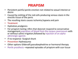 PRIAPISM
• Persistent painful penile erection not related to sexual interest or
desire
• Caused by sickling of the red cells producing venous stasis in the
erectile tissue of the penis
• The resulting stasis causes ischemia,hypoxia and pain
• Treatment
• Hydration,analgesics
• For priapism lasting >4hrs that doesnot respond to conservative
management,aspiration of blood from the corpus cavernosum with
or without saline irrigation,followed by injection of an alpha-
adrenergic agonist.
• if no response -Surgical shunt
• Prevention-Hydroxyurea
• Other options-Sildenafil,pseudoephedrine or hormonal therapy
• Penile prosthesis –repeated episodes of priapism with scar tissue
 