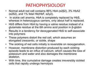 PATHOPHYSIOLOGY
• Normal adult red cell contains 96% HbA (α2β2), 3% HbA2
(α2δ2), and 1% fetal Hb(HbF, α2γ2).
• In sickle cell anemia, HbA is completely replaced by HbS,
whereas in heterozygous carriers, only about half is replaced.
• HbS differs from HbA by having a valine residue instead of a
glutamate residue at the 6th amino acid position in β-globin
• Results in a tendency for deoxygenated HbS to self-associate
into polymers
• These polymers distort the red cell, which assumes an
elongated crescentic, or sickle, shape
• The sickling of red cells initially is reversible on reoxygenation.
• However, membrane distortion produced by each sickling
episode leads to an influx of calcium, which causes the loss of
potassium and water and also damages the membrane
skeleton.
• With time, this cumulative damage creates irreversibly sickled
cells that rapidly undergo hemolysis
 