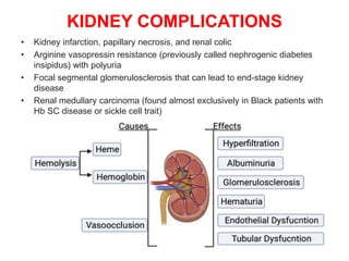 KIDNEY COMPLICATIONS
• Kidney infarction, papillary necrosis, and renal colic
• Arginine vasopressin resistance (previously called nephrogenic diabetes
insipidus) with polyuria
• Focal segmental glomerulosclerosis that can lead to end-stage kidney
disease
• Renal medullary carcinoma (found almost exclusively in Black patients with
Hb SC disease or sickle cell trait)
 