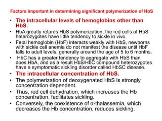 Factors important in determining significant polymerization of HbS
• The intracellular levels of hemoglobins other than
HbS.
• HbA greatly retards HbS polymerization, the red cells of HbS
heterozygotes have little tendency to sickle in vivo.
• Fetal hemoglobin (HbF) interacts weakly with HbS, newborns
with sickle cell anemia do not manifest the disease until HbF
falls to adult levels, generally around the age of 5 to 6 months.
• HbC has a greater tendency to aggregate with HbS than
does HbA, and as a result HbS/HbC compound heterozygotes
have a symptomatic sickling disorder called HbSC disease.
• The intracellular concentration of HbS.
• The polymerization of deoxygenated HbS is strongly
concentration dependent.
• Thus, red cell dehydration, which increases the Hb
concentration, facilitates sickling.
• Conversely, the coexistence of α-thalassemia, which
decreases the Hb concentration, reduces sickling.
 