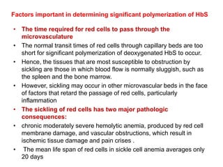Factors important in determining significant polymerization of HbS
• The time required for red cells to pass through the
microvasculature
• The normal transit times of red cells through capillary beds are too
short for significant polymerization of deoxygenated HbS to occur.
• Hence, the tissues that are most susceptible to obstruction by
sickling are those in which blood flow is normally sluggish, such as
the spleen and the bone marrow.
• However, sickling may occur in other microvascular beds in the face
of factors that retard the passage of red cells, particularly
inflammation
• The sickling of red cells has two major pathologic
consequences:
• chronic moderately severe hemolytic anemia, produced by red cell
membrane damage, and vascular obstructions, which result in
ischemic tissue damage and pain crises .
• The mean life span of red cells in sickle cell anemia averages only
20 days
 