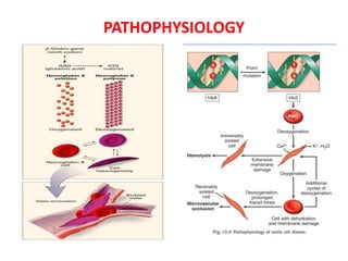 PATHOPHYSIOLOGY
 