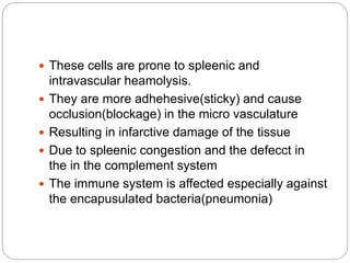  These cells are prone to spleenic and
intravascular heamolysis.
 They are more adhehesive(sticky) and cause
occlusion(blockage) in the micro vasculature
 Resulting in infarctive damage of the tissue
 Due to spleenic congestion and the defecct in
the in the complement system
 The immune system is affected especially against
the encapusulated bacteria(pneumonia)
 