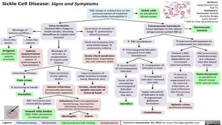 Comprehensive Overview of Sickle Cell Disease: Genetics, Symptoms, and ...