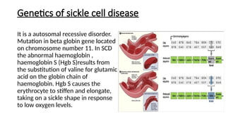 Comprehensive Overview of Sickle Cell Disease: Genetics, Symptoms, and ...