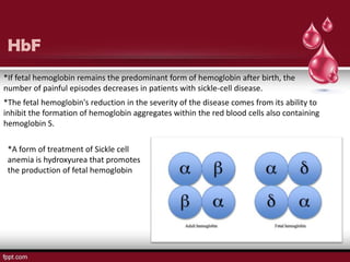 HbF
*If fetal hemoglobin remains the predominant form of hemoglobin after birth, the
number of painful episodes decreases in patients with sickle-cell disease.
*The fetal hemoglobin's reduction in the severity of the disease comes from its ability to
inhibit the formation of hemoglobin aggregates within the red blood cells also containing
hemoglobin S.

 *A form of treatment of Sickle cell
 anemia is hydroxyurea that promotes
 the production of fetal hemoglobin
 
