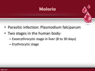 Malaria


• Parasitic infection: Plasmodium falciparum
• Two stages in the human body:
  – Exoerythrocytic stage in liver (8 to 30 days)
  – Erythrocytic stage
 