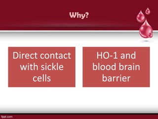 Why?




Direct contact       HO-1 and
 with sickle        blood brain
     cells            barrier
 