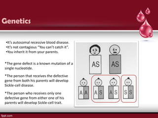Genetics

 •It’s autosomal recessive blood disease.
 •It’s not contagious “You can’t catch it”.
 •You inherit it from your parents.

*The gene defect is a known mutation of a
single nucleotide.
*The person that receives the defective
gene from both his parents will develop
Sickle-cell disease.

*The person who receives only one
defective gene from either one of his
parents will develop Sickle-cell trait.
 