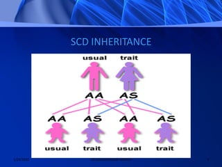 Sickle cell disease | PDF
