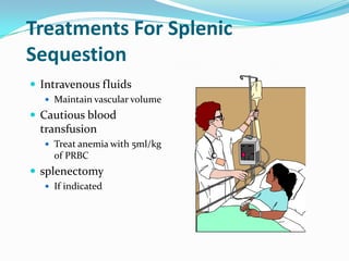 Treatments For Splenic
Sequestion
 Intravenous fluids
 Maintain vascular volume
 Cautious blood
transfusion
 Treat anemia with 5ml/kg
of PRBC
 splenectomy
 If indicated
 