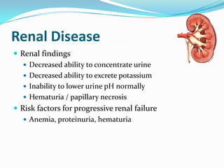Renal Disease
 Renal findings
 Decreased ability to concentrate urine
 Decreased ability to excrete potassium
 Inability to lower urine pH normally
 Hematuria / papillary necrosis
 Risk factors for progressive renal failure
 Anemia, proteinuria, hematuria
 