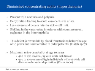 S L I D E 11
Diminished concentrating ability (hyposthenuria)
• Present with nocturia and polyuria
• Dehydration leading to acute vaso-occlusive crises
• Less severe and occurs later in sickle cell trait
• Sickling in the vasa rectae interferes with countercurrent
exchange in the inner medulla
• This defect is reversible by blood transfusions below the age
of 10 years but is irreversible in older patients. (Hatch 1967)
• Maximum urine osmolality at age 10 years
• 400 to 450 mosmol/kg with sickle cell disease
• 900 to 1200 mosmol/kg in individuals without sickle cell
disease under water deprivation. (Pham 2000)
 