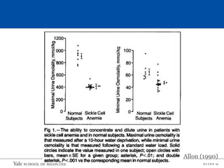 S L I D E 12
Allon (1990)
 