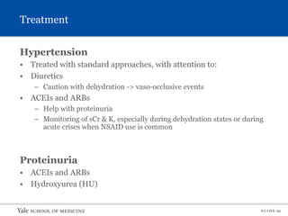 S L I D E 29
Treatment
Hypertension
• Treated with standard approaches, with attention to:
• Diuretics
– Caution with dehydration -> vaso-occlusive events
• ACEIs and ARBs
– Help with proteinuria
– Monitoring of sCr & K, especially during dehydration states or during
acute crises when NSAID use is common
Proteinuria
• ACEIs and ARBs
• Hydroxyurea (HU)
 