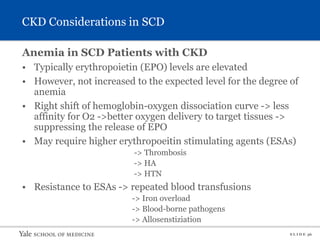S L I D E 36
CKD Considerations in SCD
Anemia in SCD Patients with CKD
• Typically erythropoietin (EPO) levels are elevated
• However, not increased to the expected level for the degree of
anemia
• Right shift of hemoglobin-oxygen dissociation curve -> less
affinity for O2 ->better oxygen delivery to target tissues ->
suppressing the release of EPO
• May require higher erythropoeitin stimulating agents (ESAs)
-> Thrombosis
-> HA
-> HTN
• Resistance to ESAs -> repeated blood transfusions
-> Iron overload
-> Blood-borne pathogens
-> Allosenstiziation
 