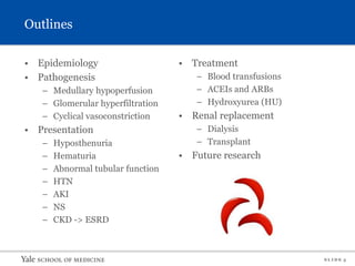 S L I D E 3
Outlines
• Epidemiology
• Pathogenesis
– Medullary hypoperfusion
– Glomerular hyperfiltration
– Cyclical vasoconstriction
• Presentation
– Hyposthenuria
– Hematuria
– Abnormal tubular function
– HTN
– AKI
– NS
– CKD -> ESRD
• Treatment
– Blood transfusions
– ACEIs and ARBs
– Hydroxyurea (HU)
• Renal replacement
– Dialysis
– Transplant
• Future research
 