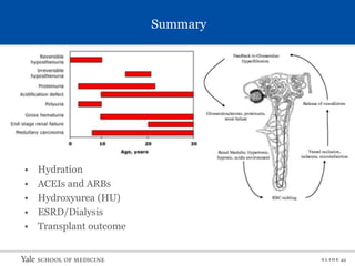 S L I D E 43
Summary
• Hydration
• ACEIs and ARBs
• Hydroxyurea (HU)
• ESRD/Dialysis
• Transplant outcome
 
