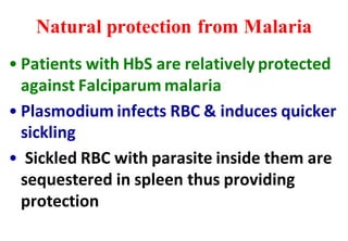 Natural protection from Malaria
• Patients with HbS are relatively protected
against Falciparum malaria
• Plasmodium infects RBC & induces quicker
sickling
• Sickled RBC with parasite inside them are
sequestered in spleen thus providing
protection
 