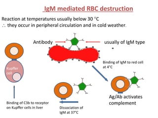 Comprehensive Overview of Sickle Cell Disease and Immune Hemolytic ...