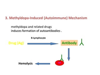 Comprehensive Overview of Sickle Cell Disease and Immune Hemolytic ...