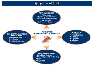 Comprehensive Overview of Sickle Cell Disease and Immune Hemolytic ...