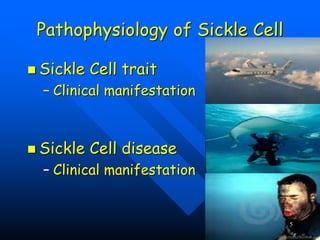 Pathophysiology of Sickle Cell
 Sickle Cell trait
– Clinical manifestation
 Sickle Cell disease
– Clinical manifestation
5
 