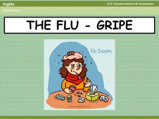 I.E.P «Nuestra Señora de Guadalupe»Inglés
Sicknesses
THE FLU - GRIPE