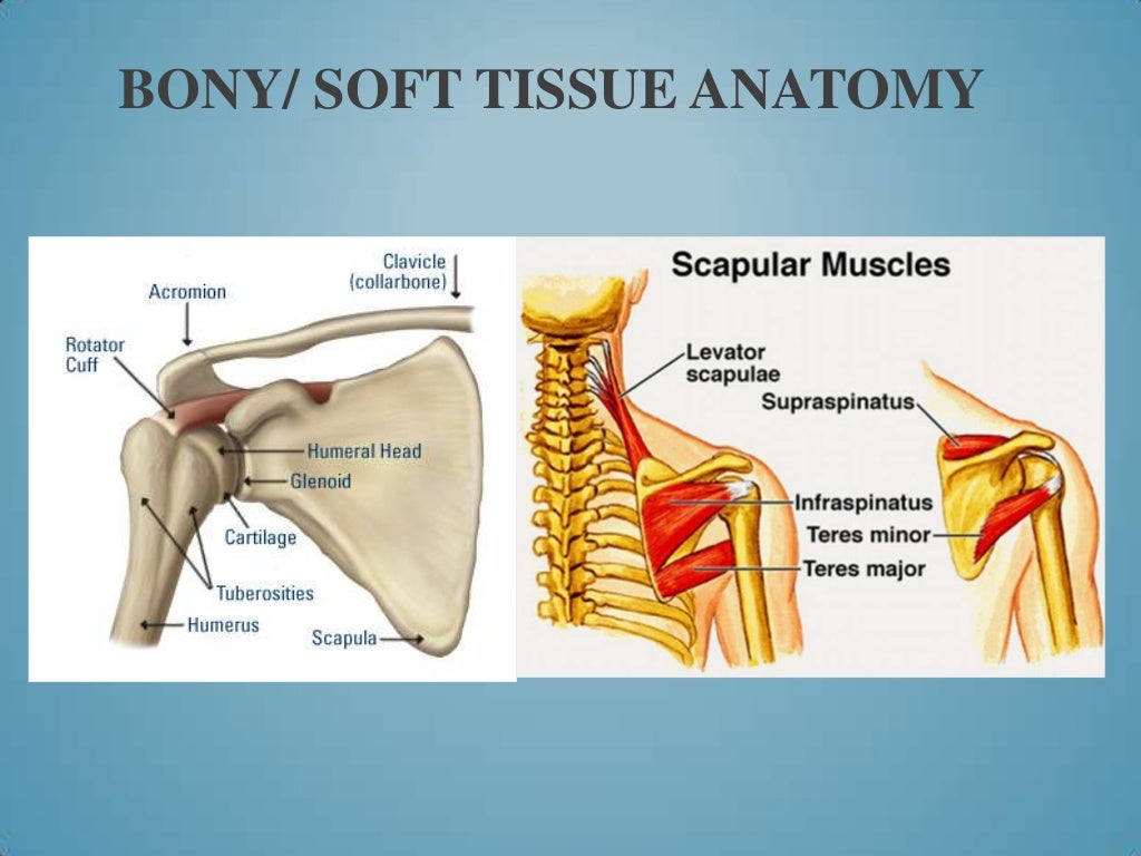 S.I.C.K. Scapula with Clavicle Fractures Case Study Presentation (201…