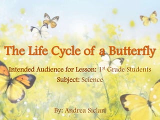 The Life Cycle of a Butterfly
Intended Audience for Lesson: 1st Grade Students
Subject: Science

By: Andrea Siclari

 