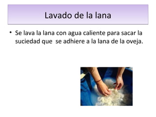 Lavado de la lanaLavado de la lana
• Se lava la lana con agua caliente para sacar la
suciedad que se adhiere a la lana de la oveja.
 
