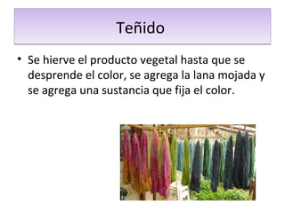 TeñidoTeñido
• Se hierve el producto vegetal hasta que se
desprende el color, se agrega la lana mojada y
se agrega una sustancia que fija el color.
 